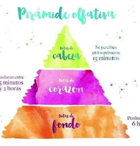 PiramideOlfativa